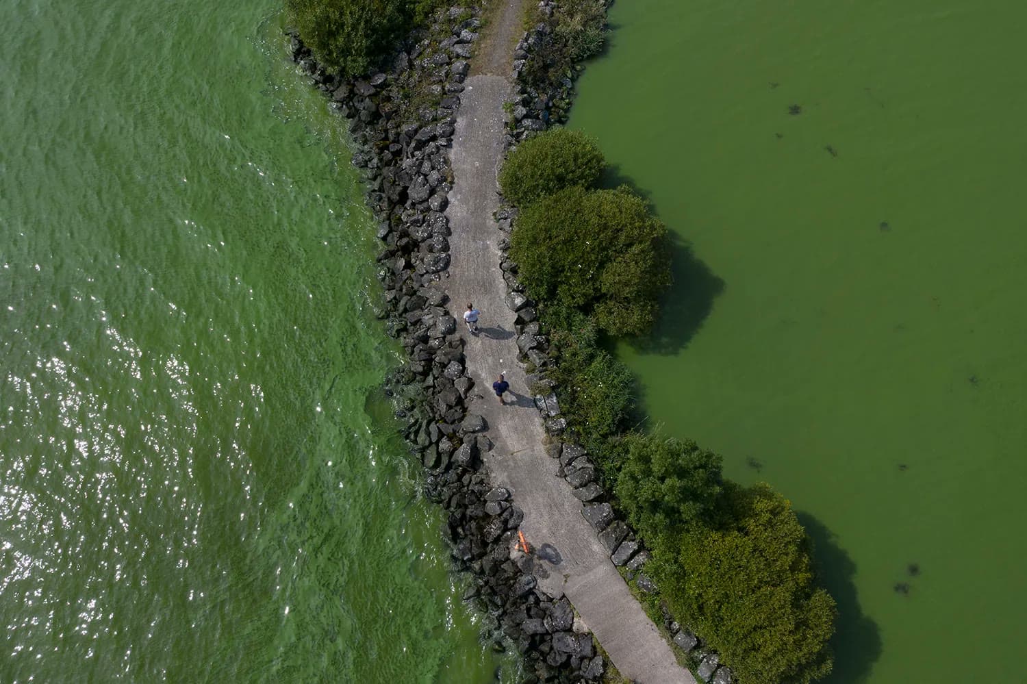 Aerial view of two people walking a stone-lined path between algae-bloom-green waters of Lough Neagh, Northern Ireland